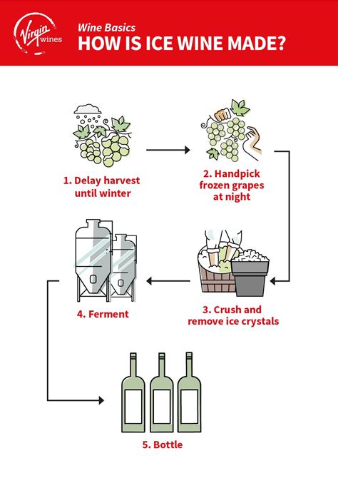 ice vines|ice wine facts.